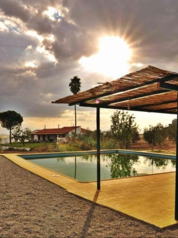 Vive la experiencia completa